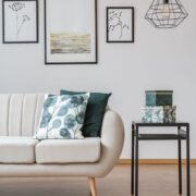 Sofa, Coffee Table, Living Area