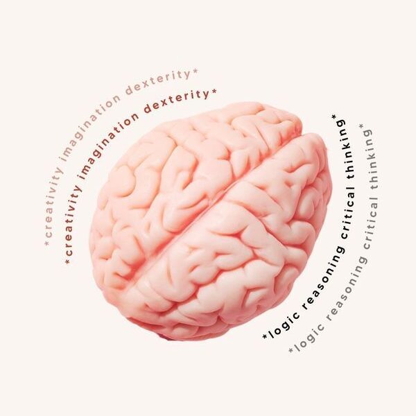Brain