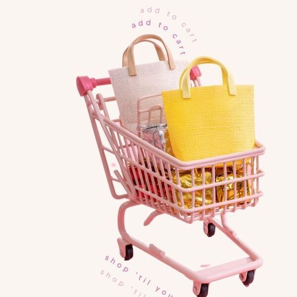Full Shopping Cart