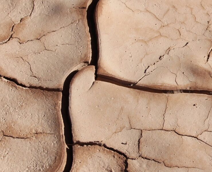 Dry Skin