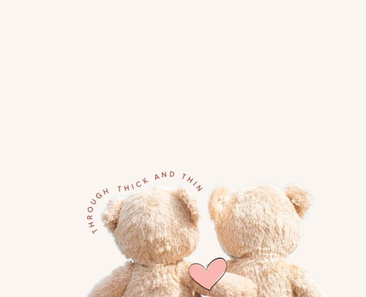 Teddy Bears