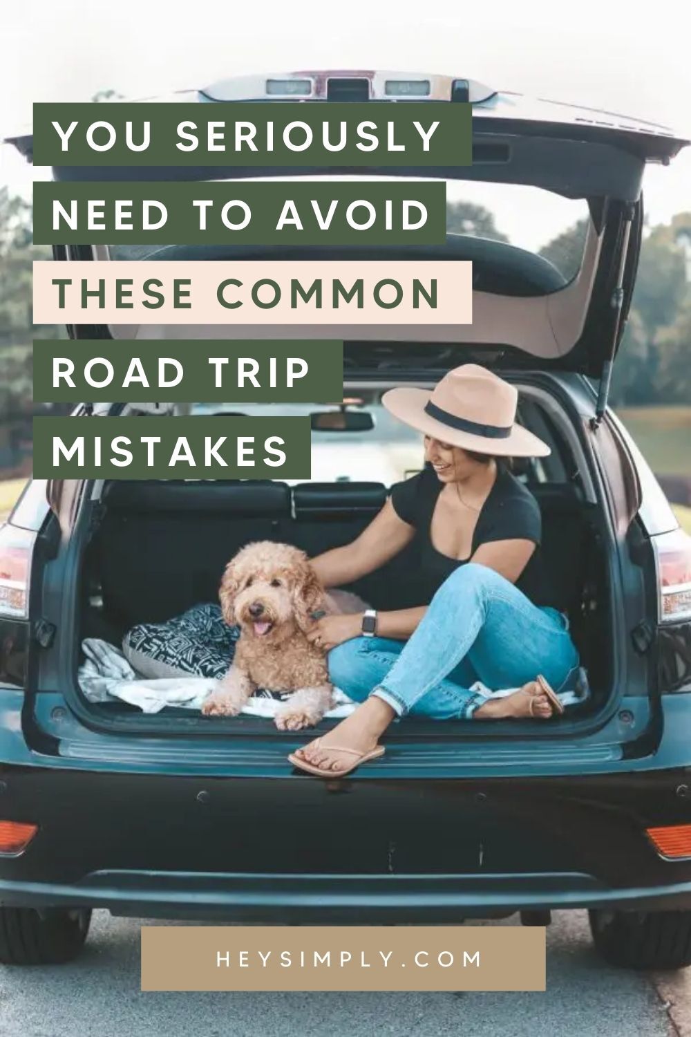 Poodle in Car