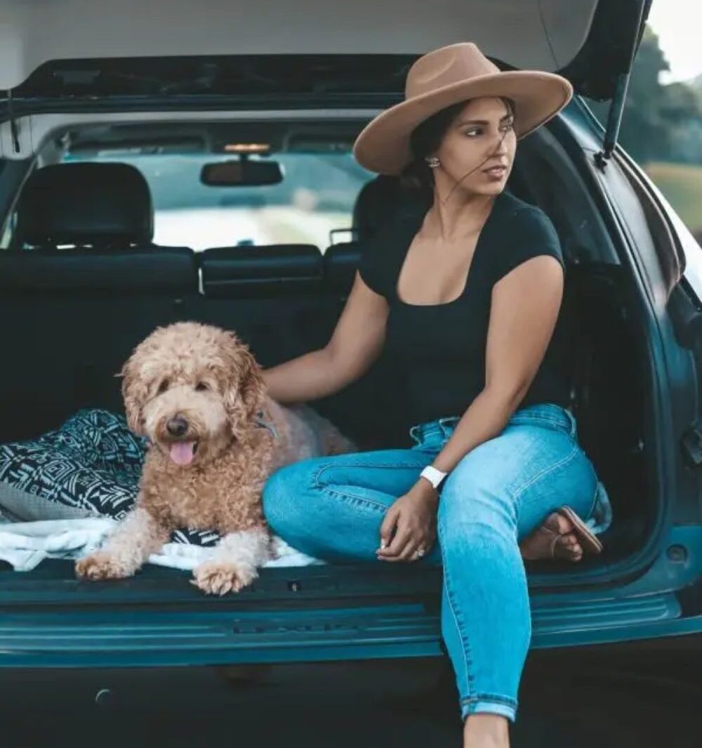 Poodle on Car