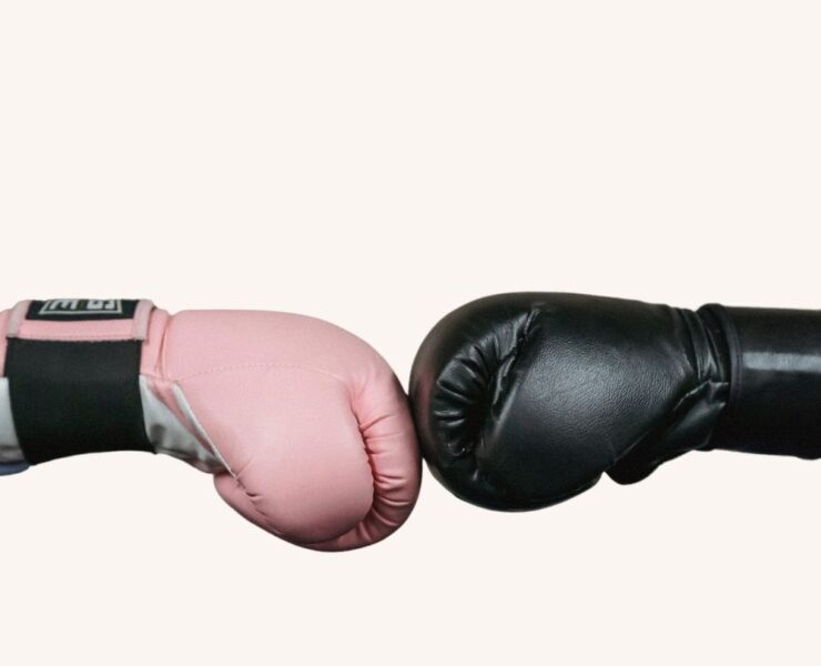 Boxing Gloves