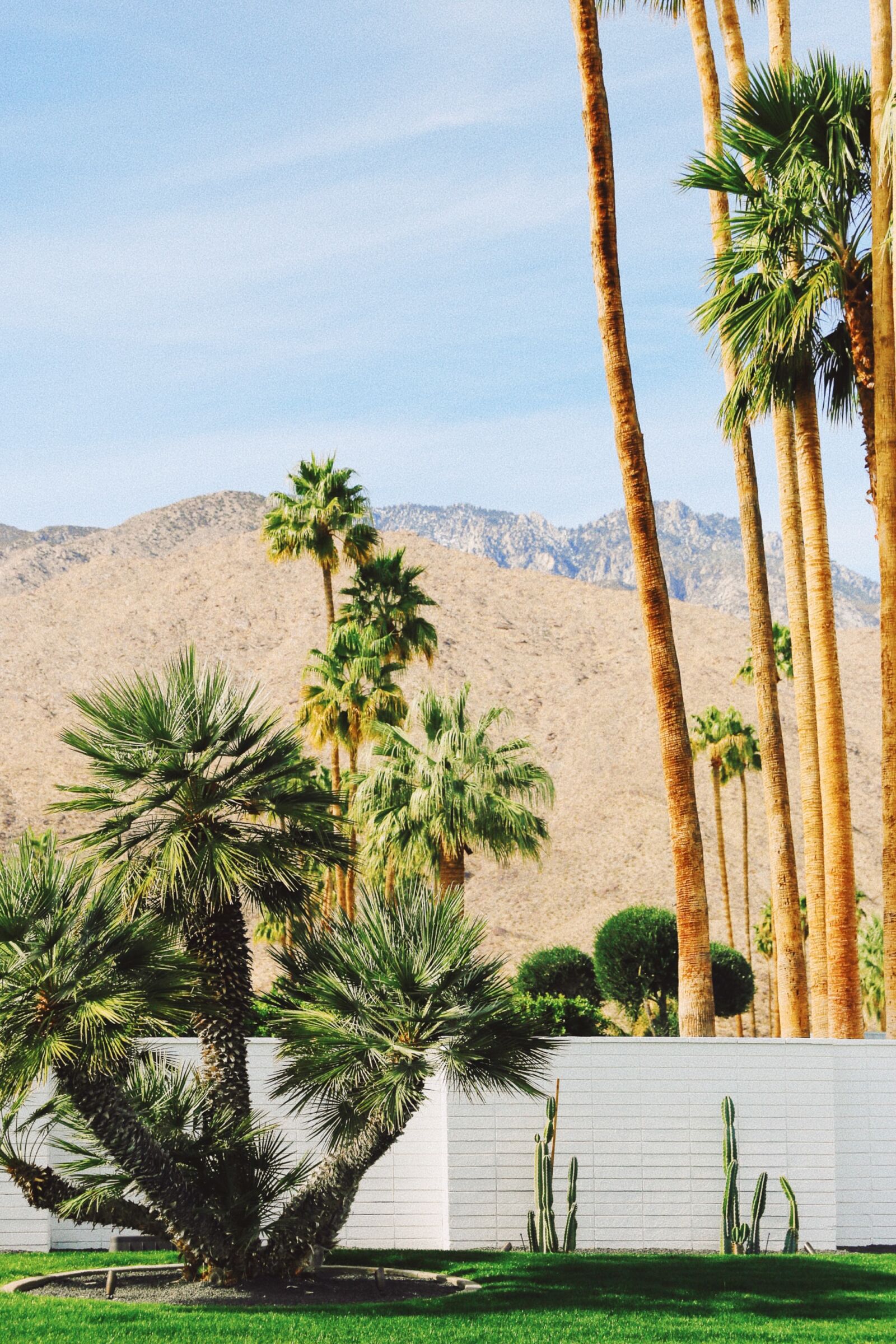 Palm Springs