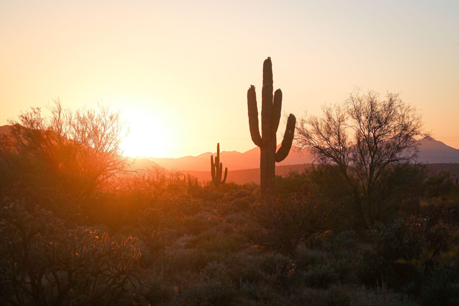 Phoenix, girls trip, best girls trip location